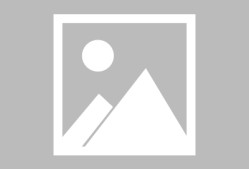 今夜阿贾克斯豪取连胜：世俱杯节点到来；赛场秩序良好；球探报告显示潜力的简单介绍-开云电竞